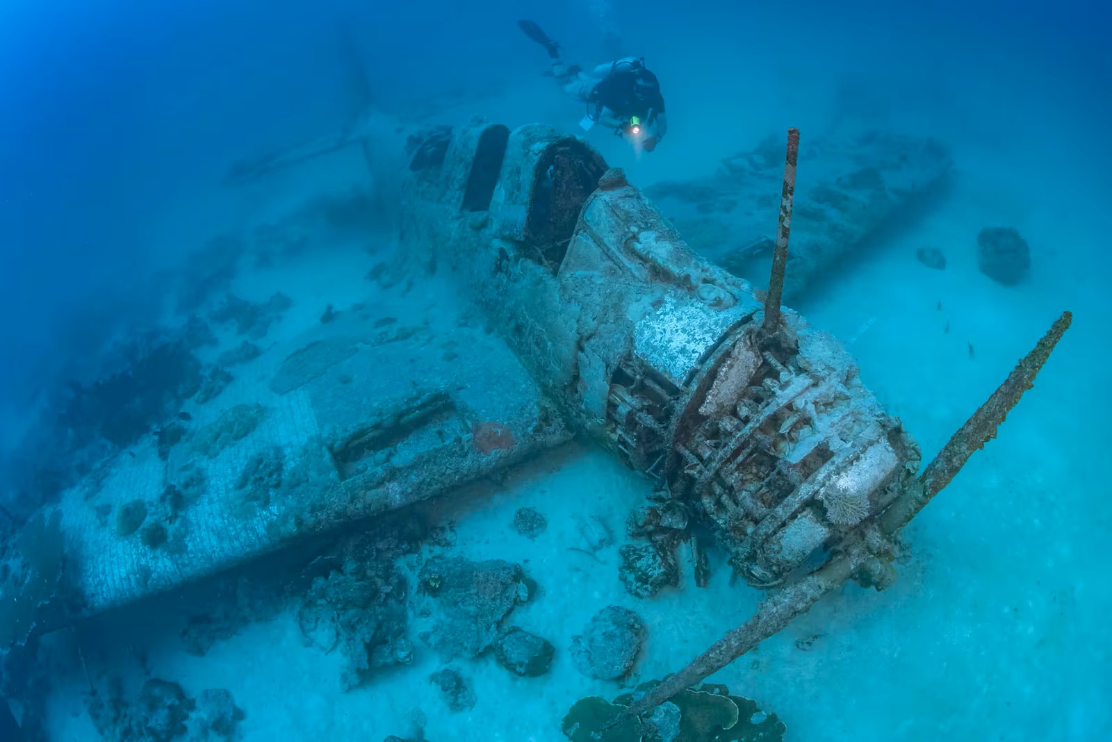Le Douglas TBD-1 Devastator BuNo 1515 qui repose actuellement dans le lagon de Jaluit, aux îles Marshall ( Source photo : Air/Sea Heritage Foundation )